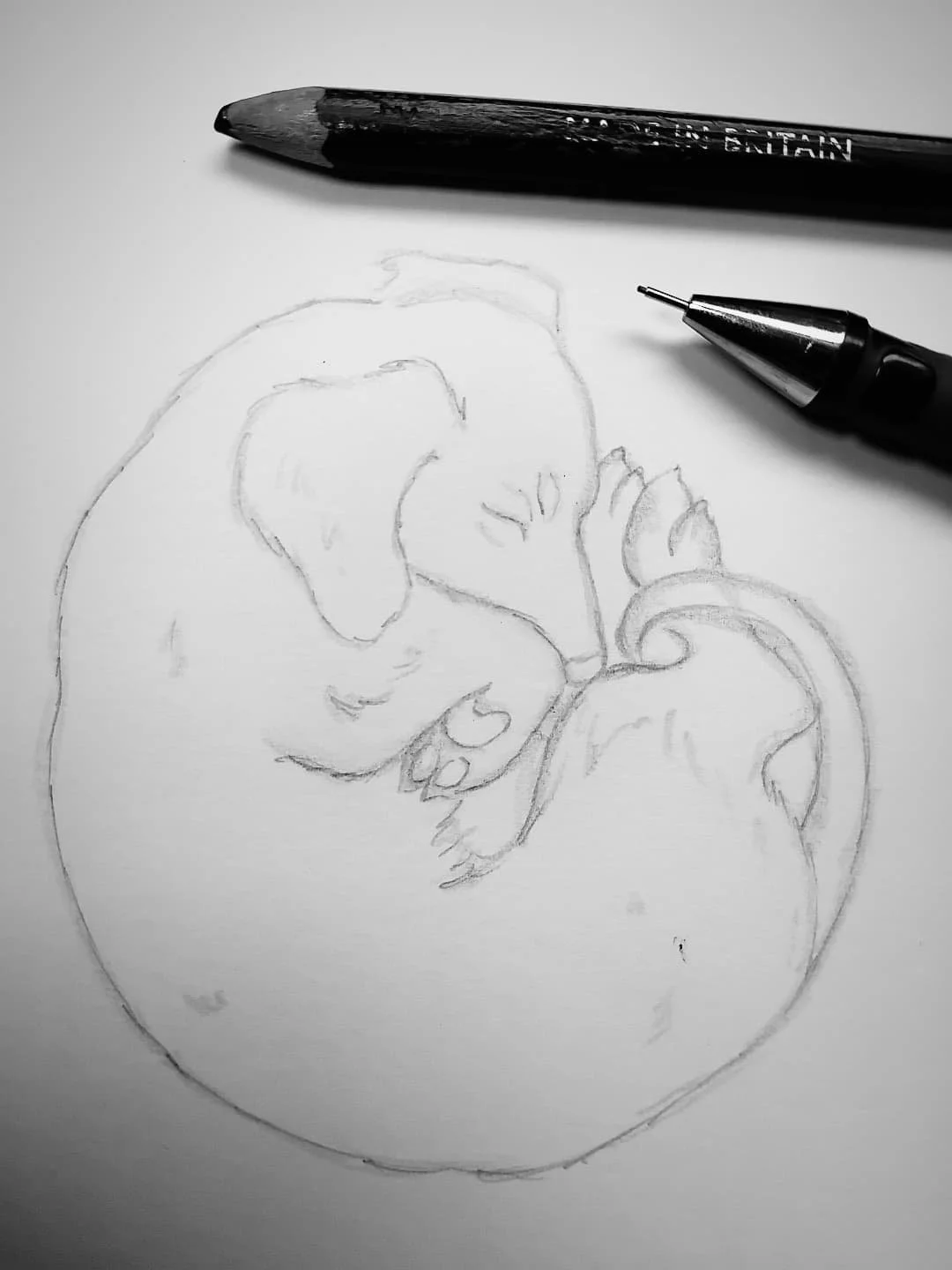 Sleepy sausages 🐾 
#dachshunds #sketchbook #illustrationart