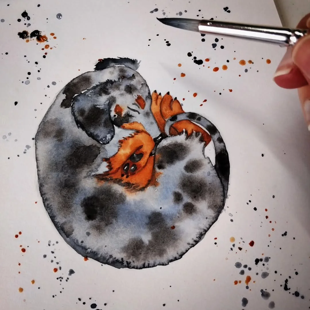 Some painted sleepy sausages 🌭💤 
I still have one more sketch to paint! I think they are going to be an all tan colour 🤔
I've decided to put these paintings up for sale, although, I have no idea how to price them yet. 
(I haven't really ever go