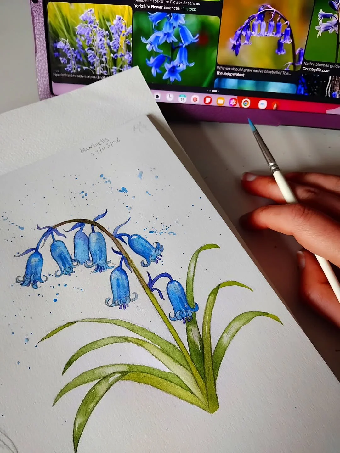 Spring flower studies in the sketchbook 🌷