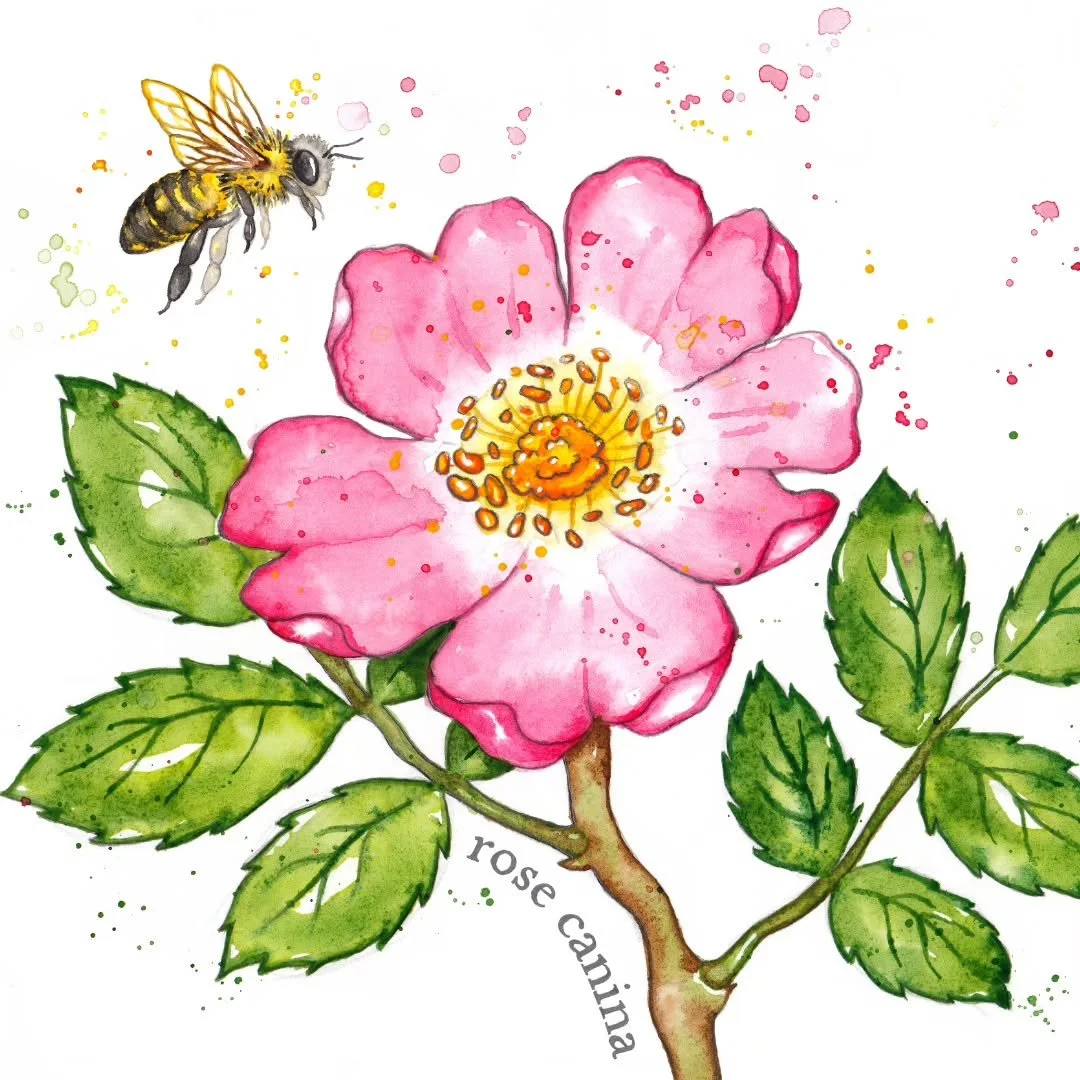 It's World Bee day! Bees are so cute and important! 🐝 We must protect them at all costs ✊️

I've painted so many of the little fuzzy buzzers over the years 😄 The first time I really tried was way back in 2012 just for practice (last image) it was p