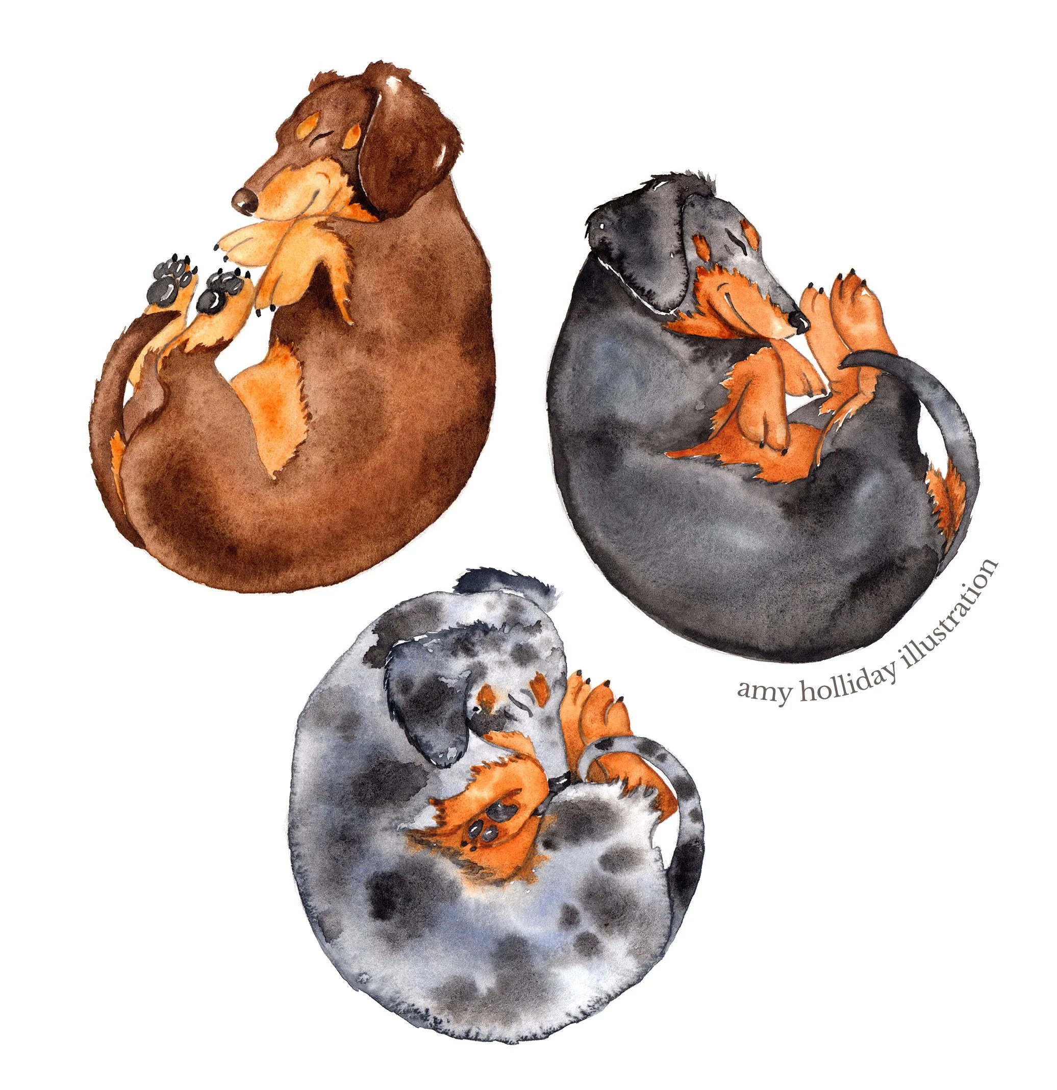 dachshund brown trio c 600.jpg