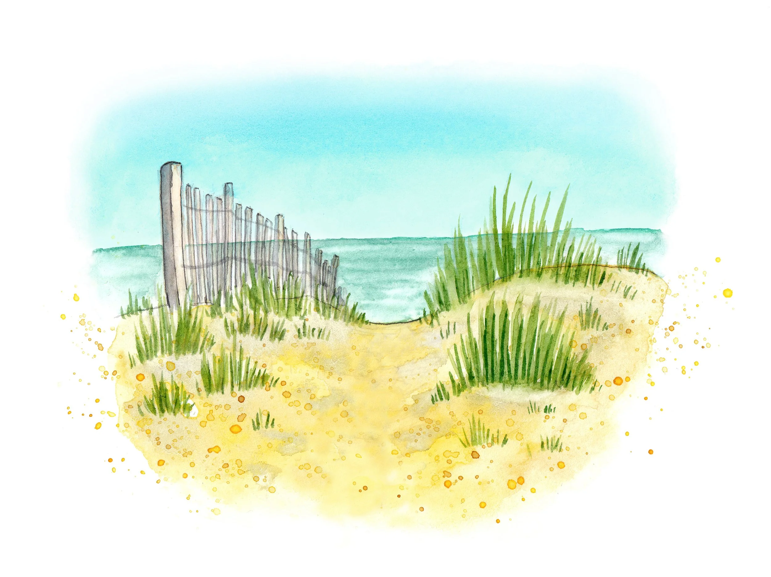 beach dunes scene big colour 4.jpg