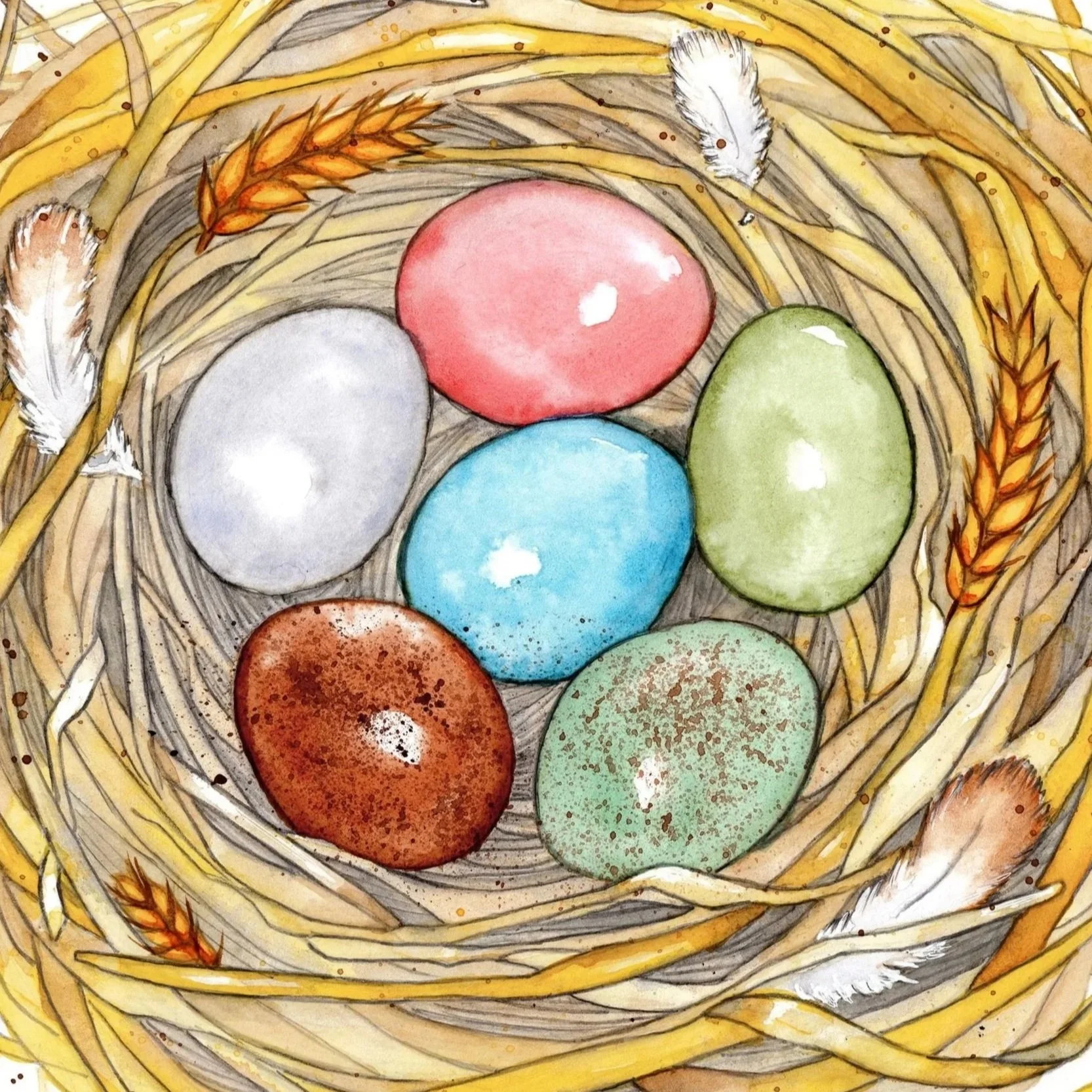 chicken-storybook-nest-with-chicken-eggs-col-big.jpg