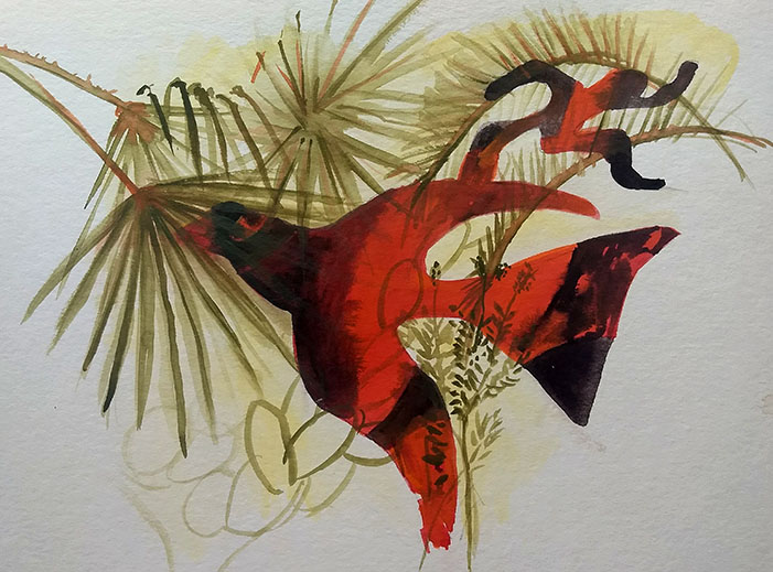 Anima bird.jpg