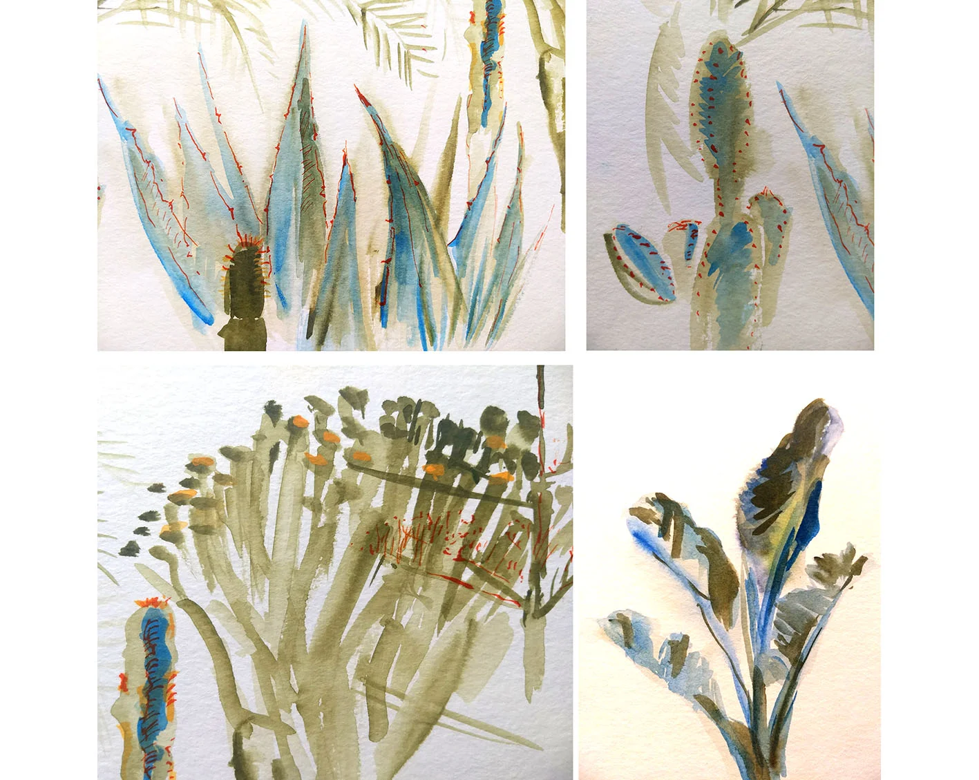 botanical.jpg