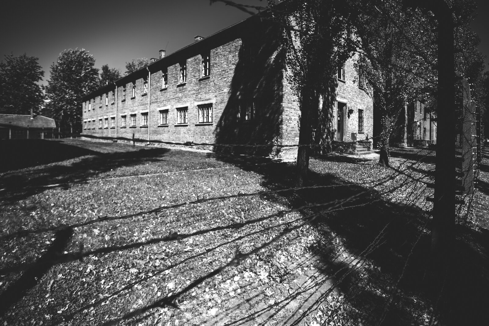 Auschwitz II–Birkenau-8.jpg