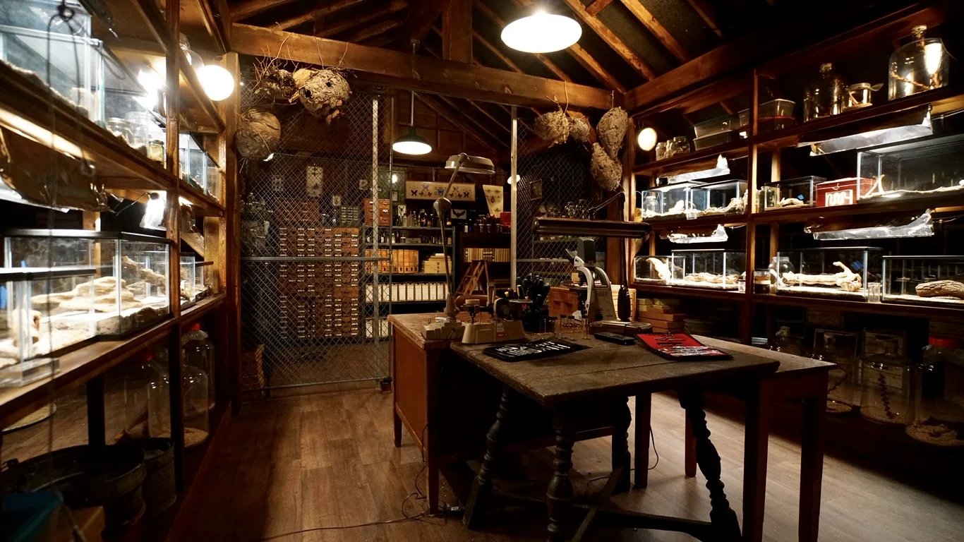 Blacklister's Lab "General Shiro" Season 6, Episode 7