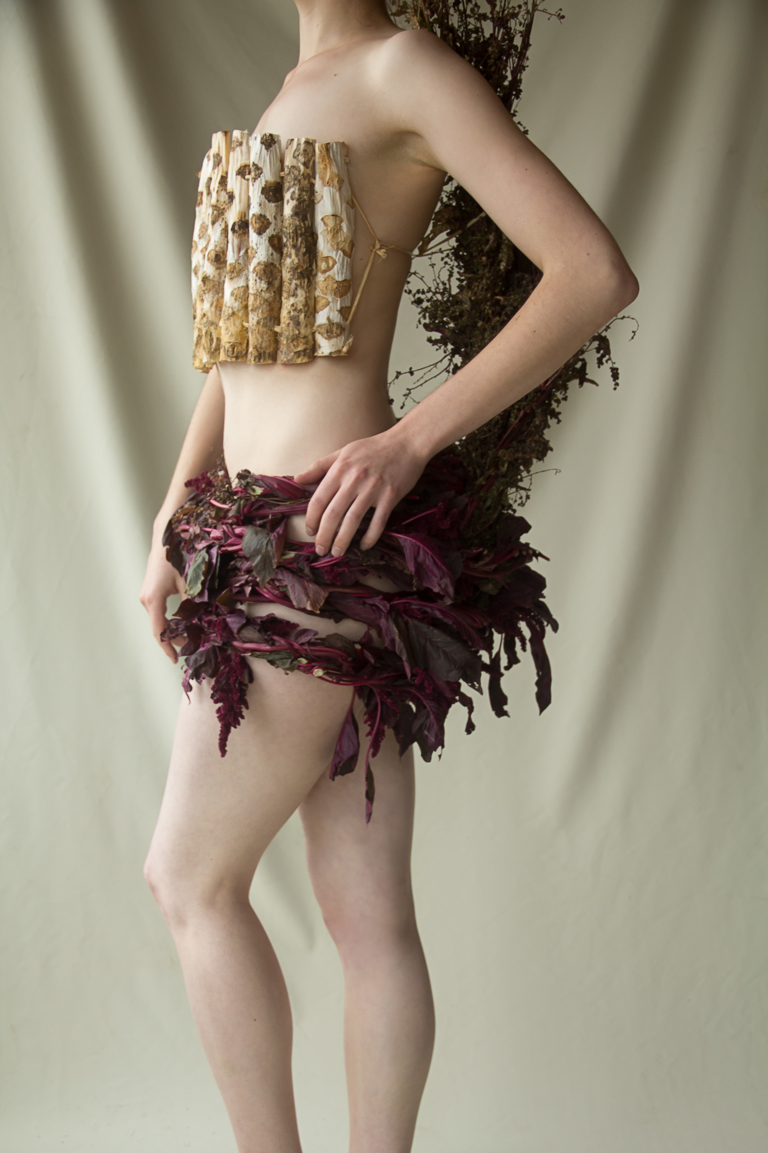 Broccoli, Amaranth and Orach 2