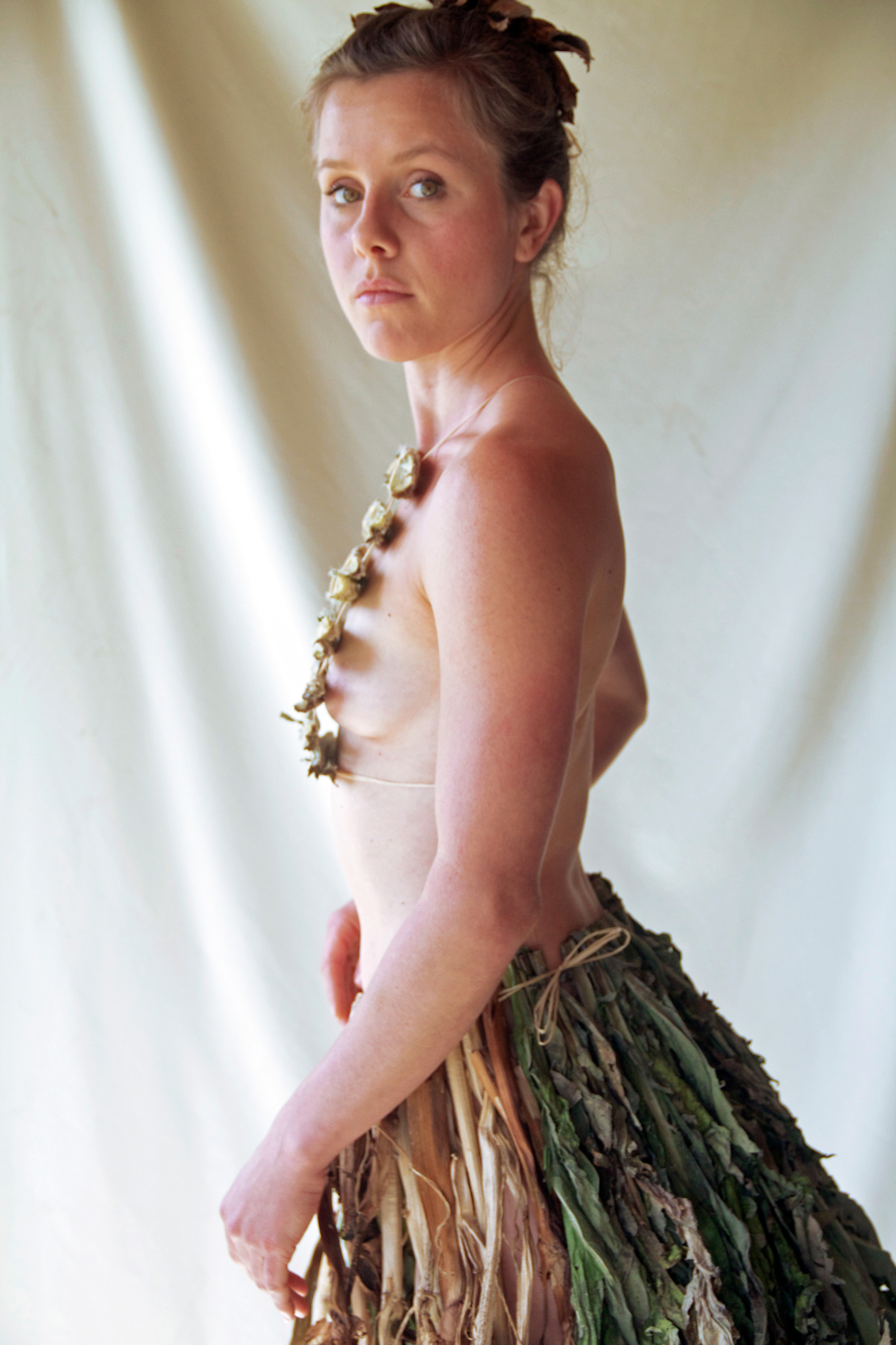 Cardoons 1