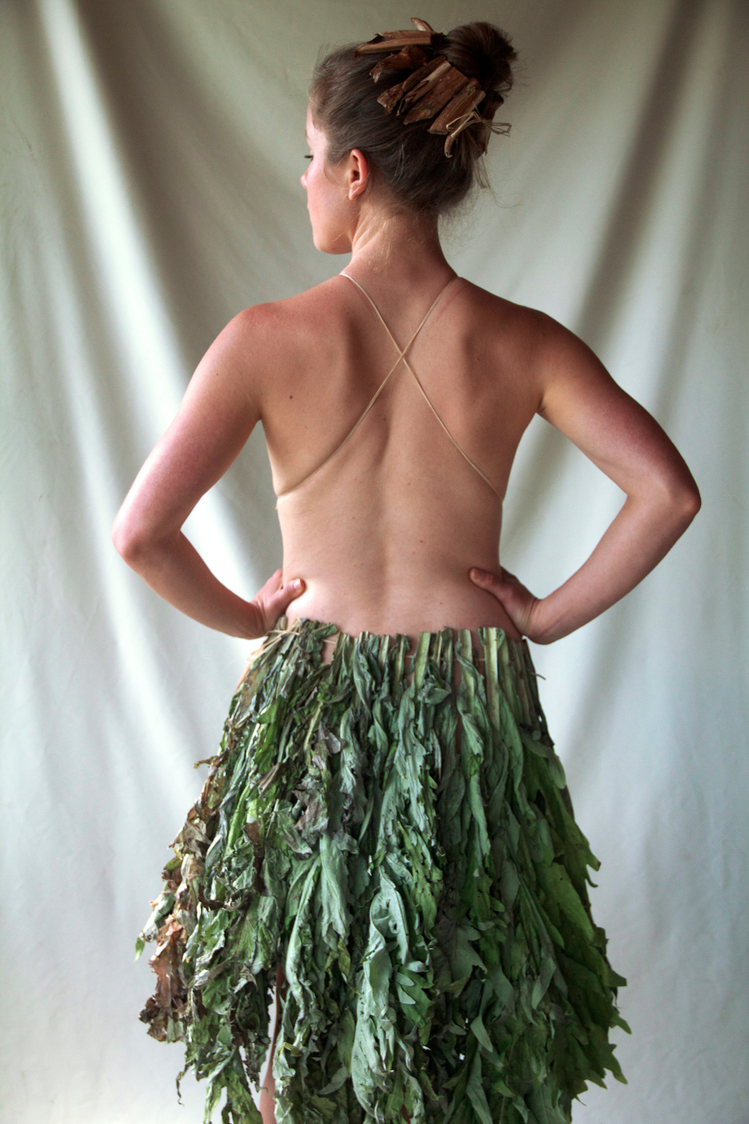 Cardoons 2