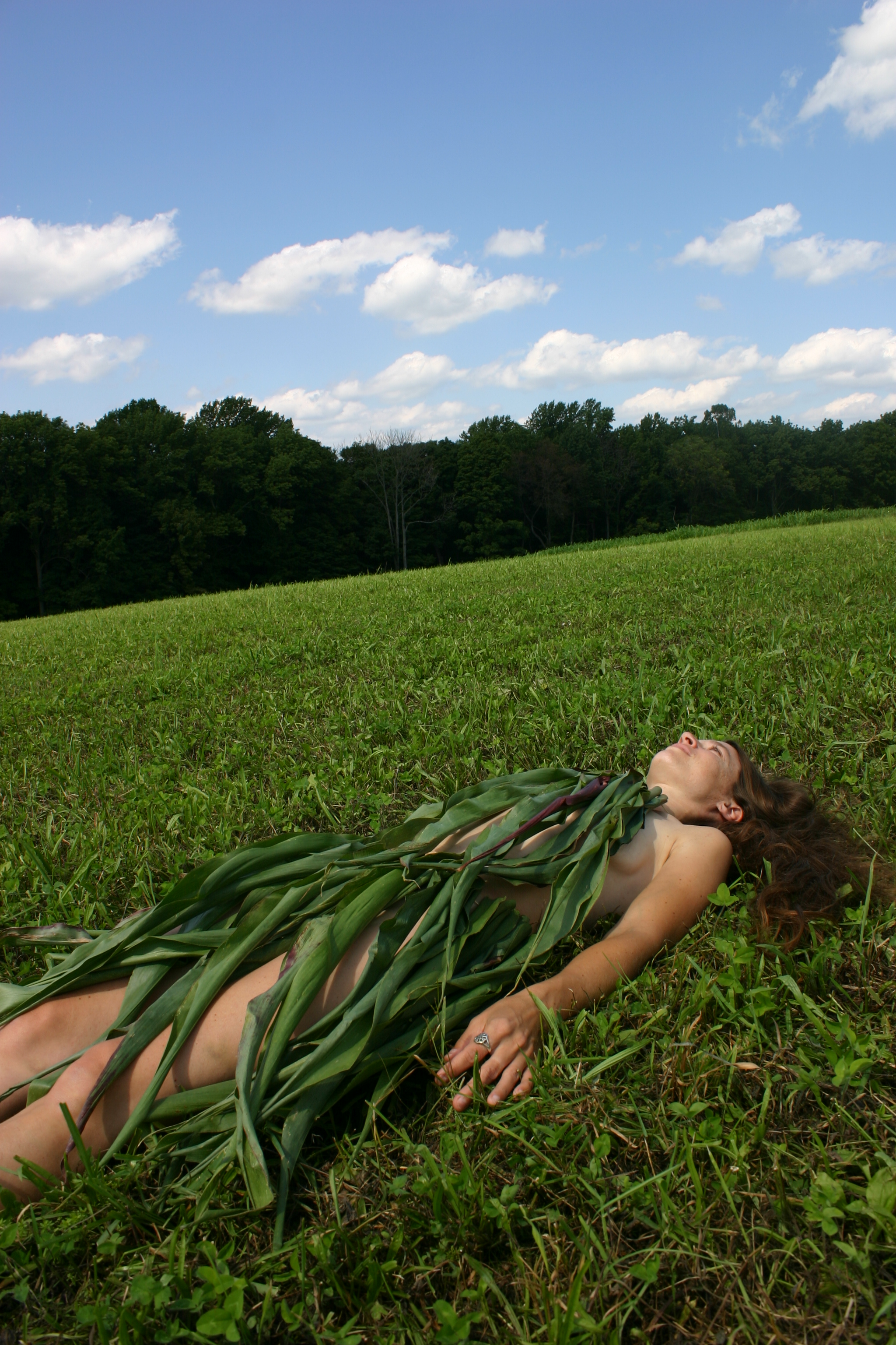 Corn Leaves 2.jpg
