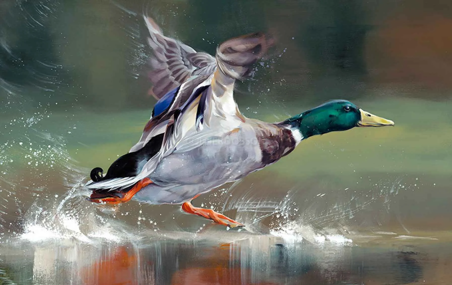 Debbie Boon limited edition print Taking Flight Abingdon Gallery