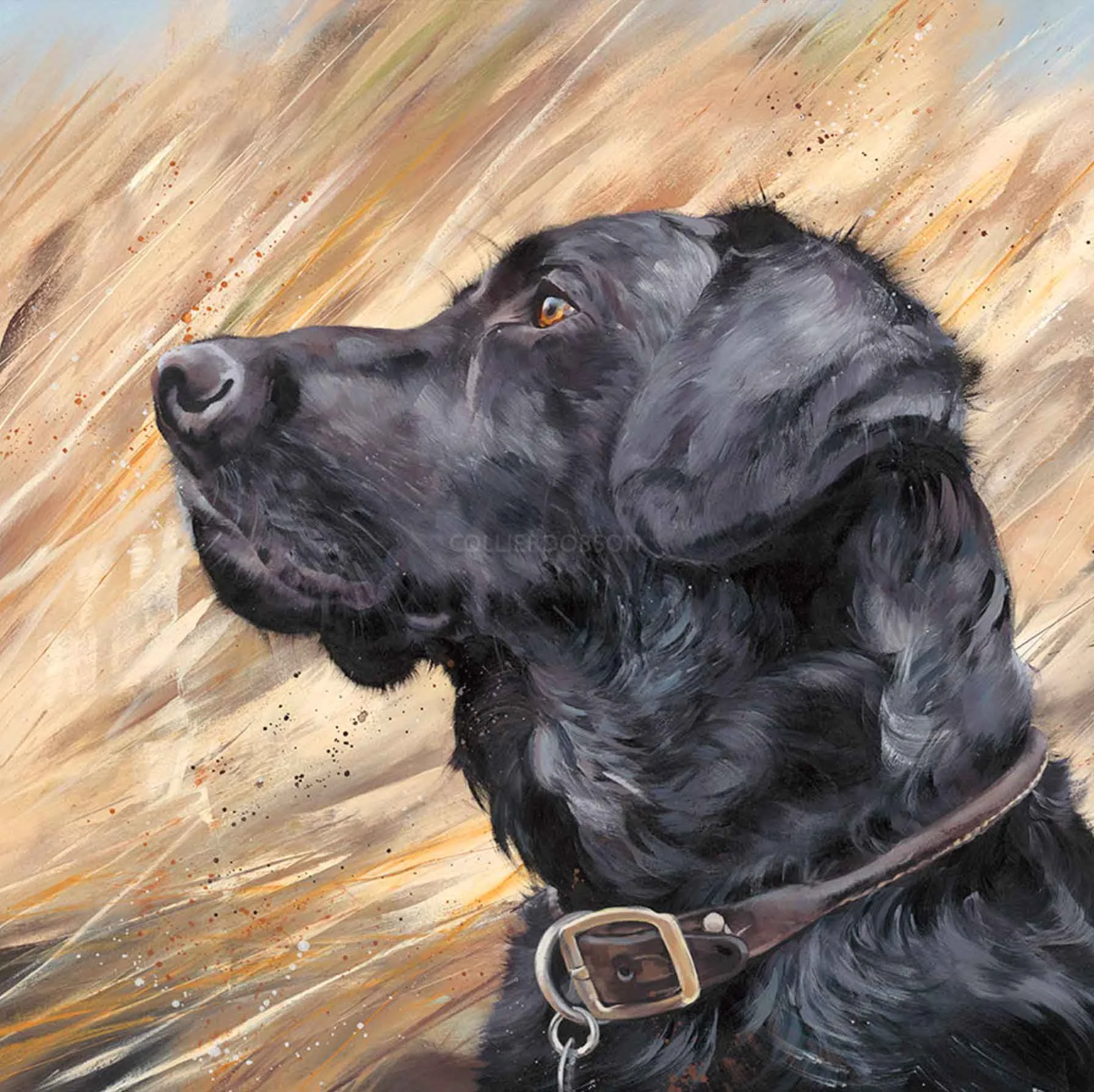 Debbie Boon limited edition print Black Labrador in Reeds Abingdon Gallery