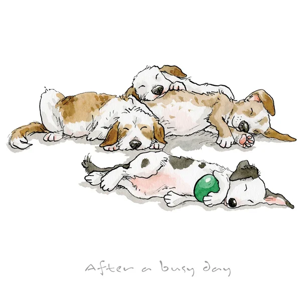 jeram after a busy day collector's edition print abingdon gallery