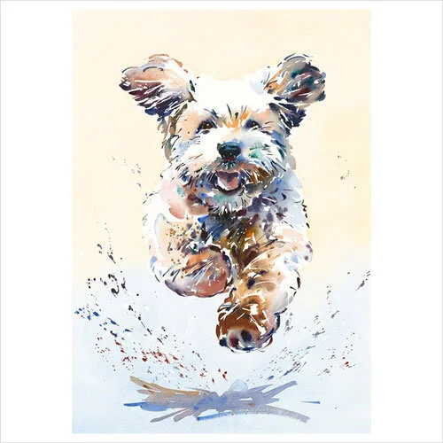 jake-winkle-bounding-cockapoo-dog-limited-edition-print