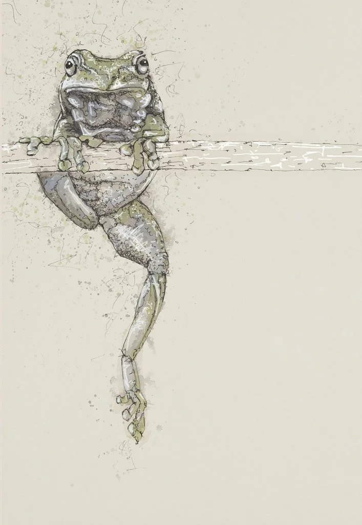Bev Davies Hang In There Limited Edition Print Abingdon Gallery Frog