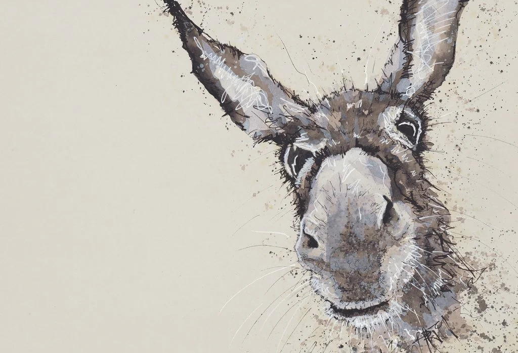 Bev Davies Hello There Limited Edition Print Abingdon Gallery Donkey