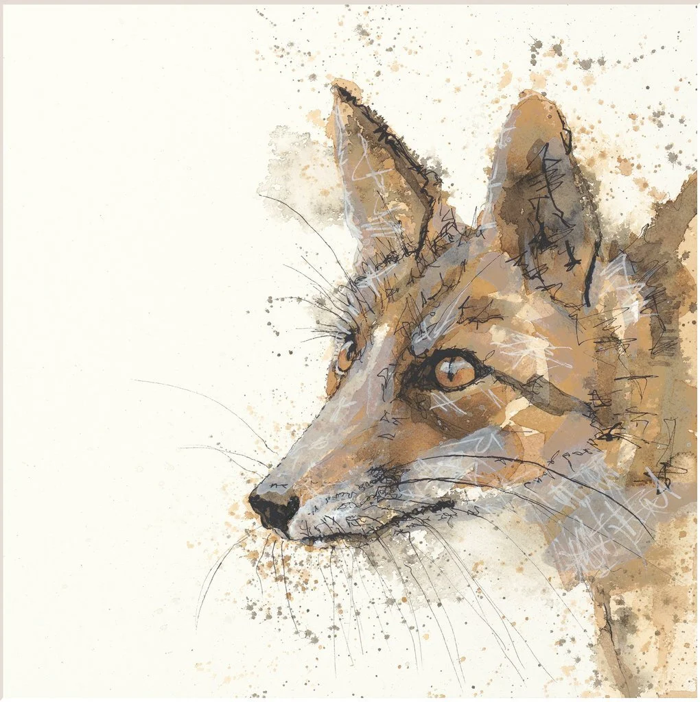 Bev Davies He Has Got the Look Limited Edition Print Abingdon Gallery Fox
