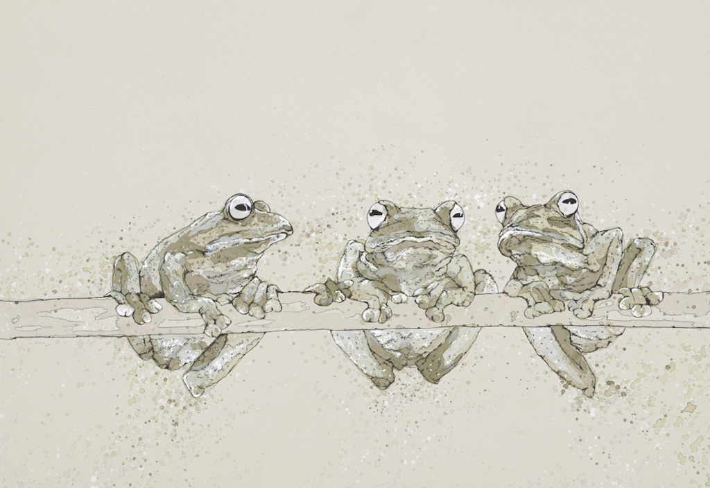 bev davies threes a crowd limited edition print abingdon gallery frogs