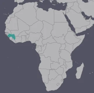 Guinea2.jpg