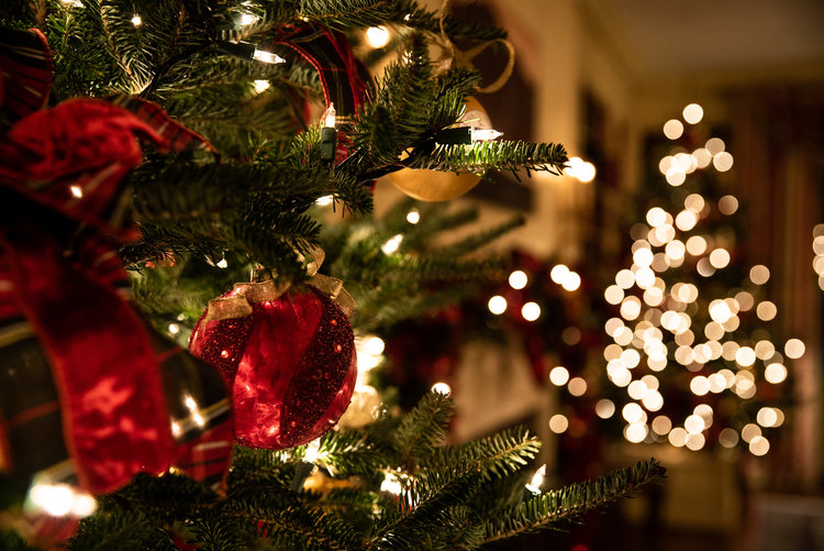 College &amp; Career Christmas Party