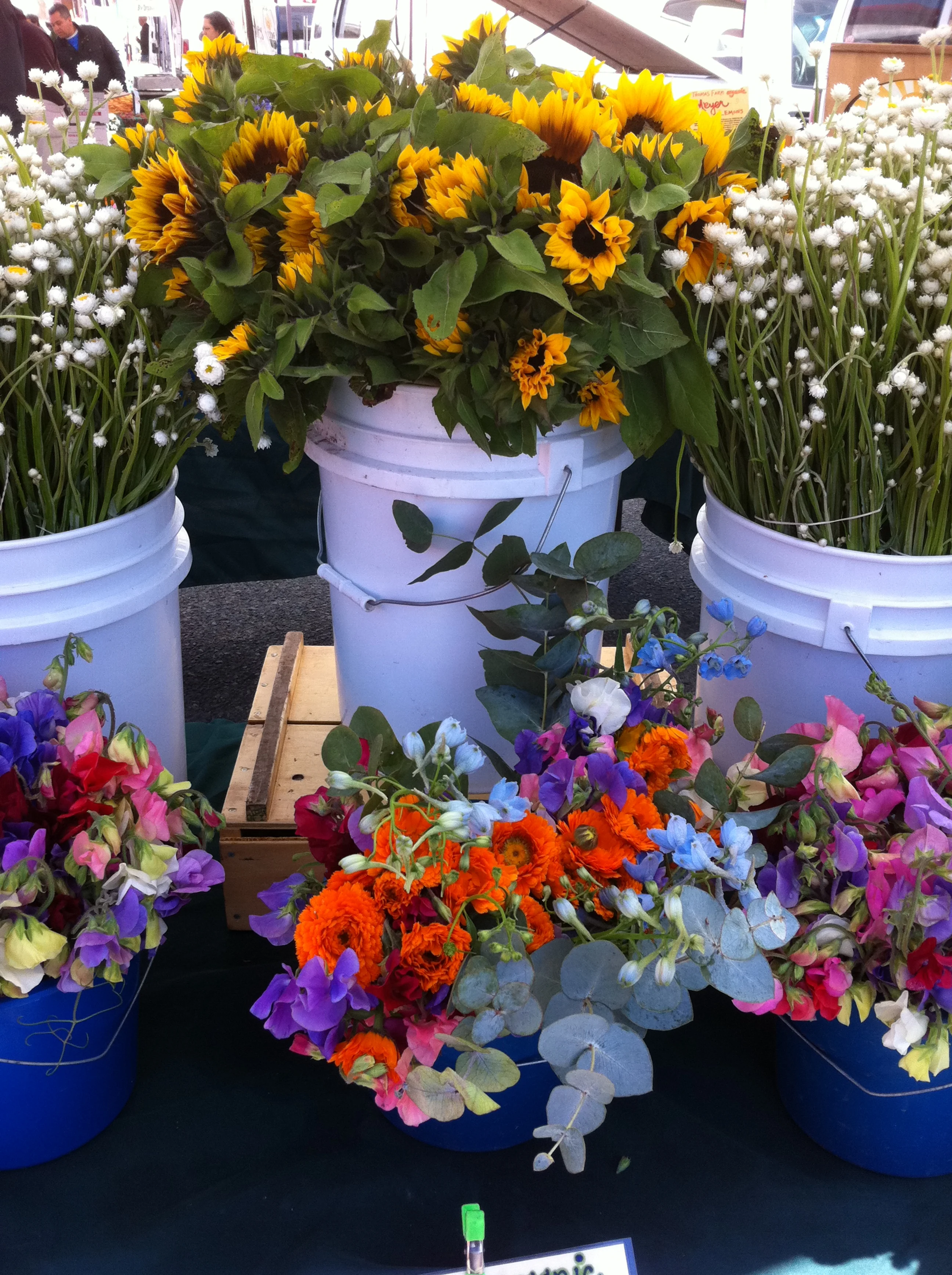 flowers - fmc photo2.JPG