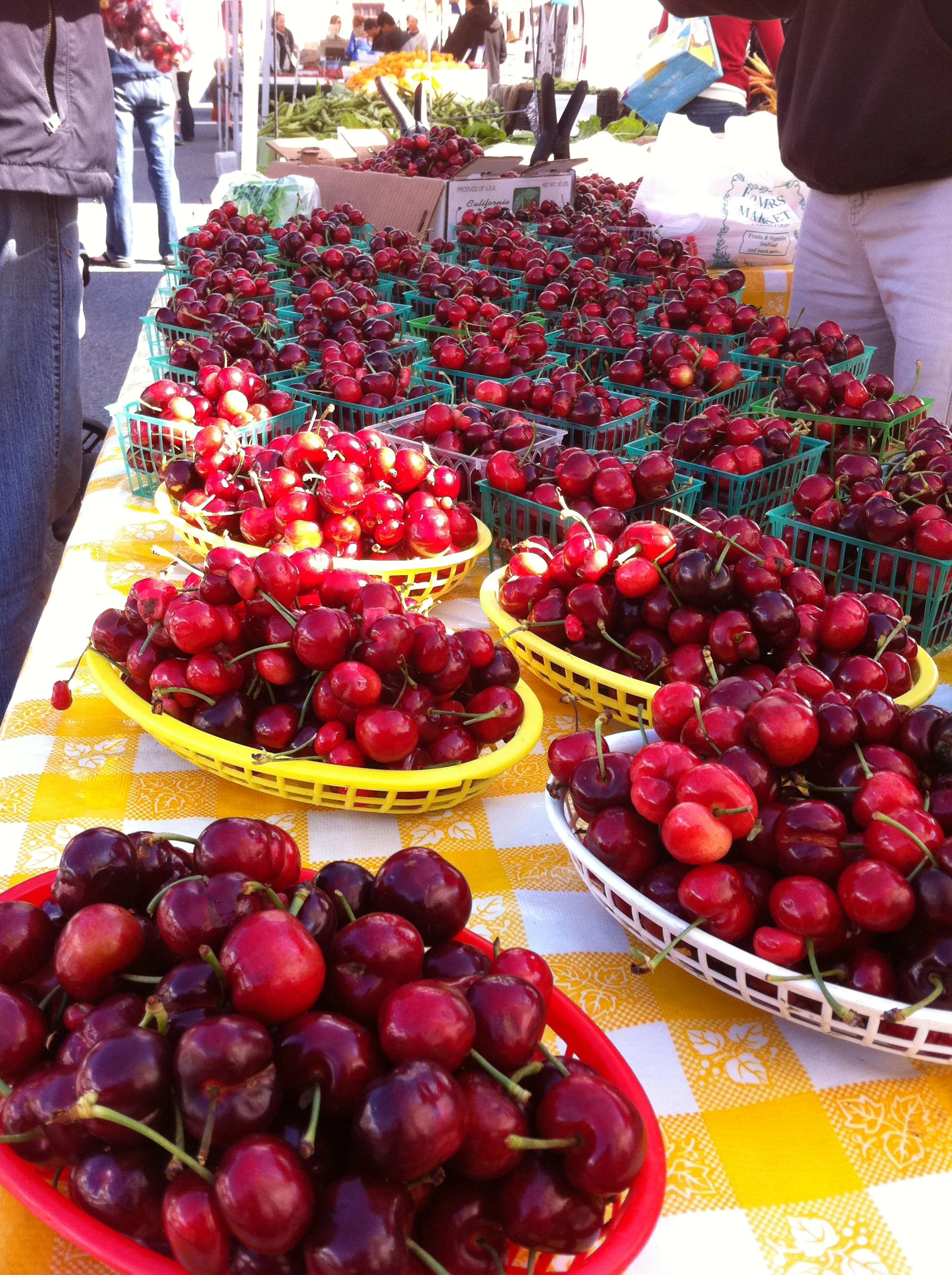 cherries - fmc photo3.JPG