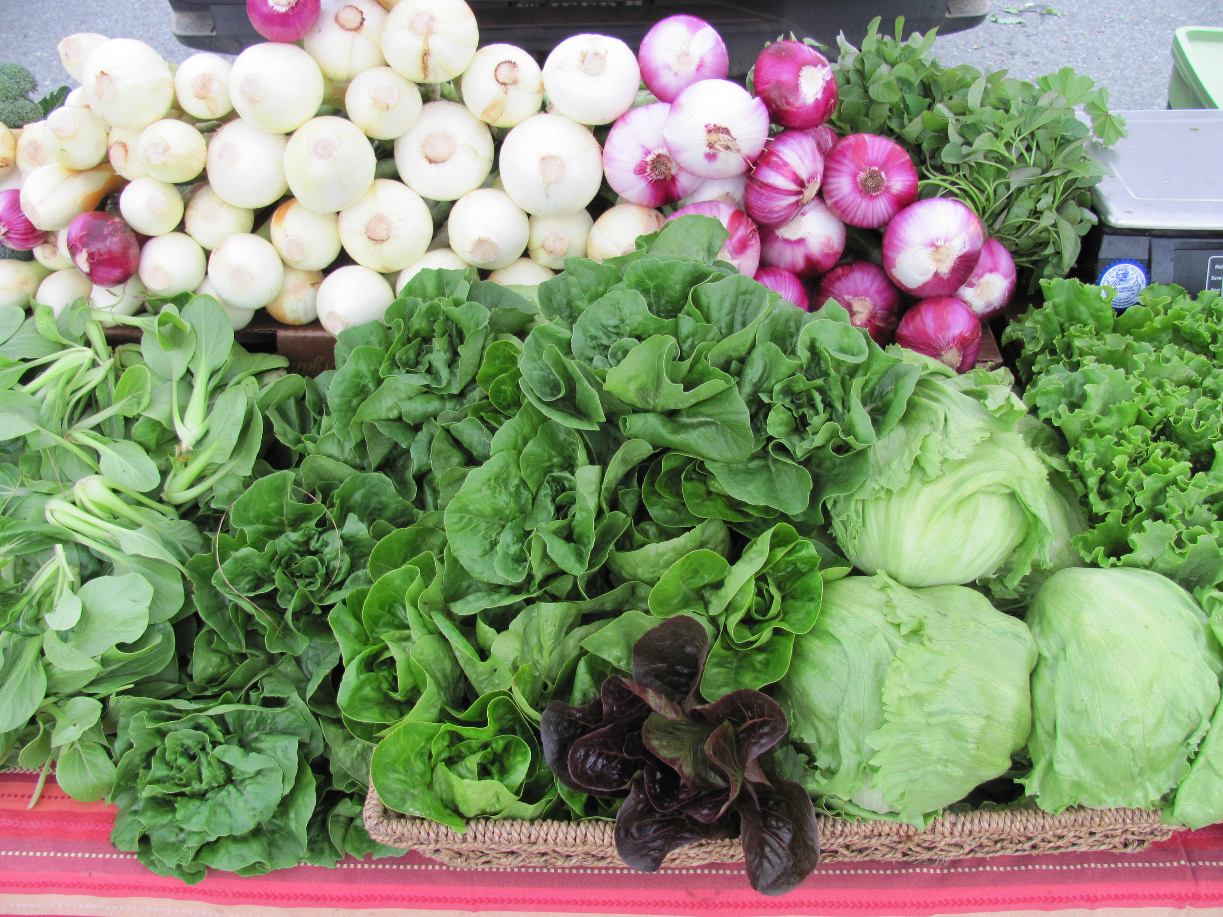 local organic vegetables at Fort Mason Center Farmers' Market