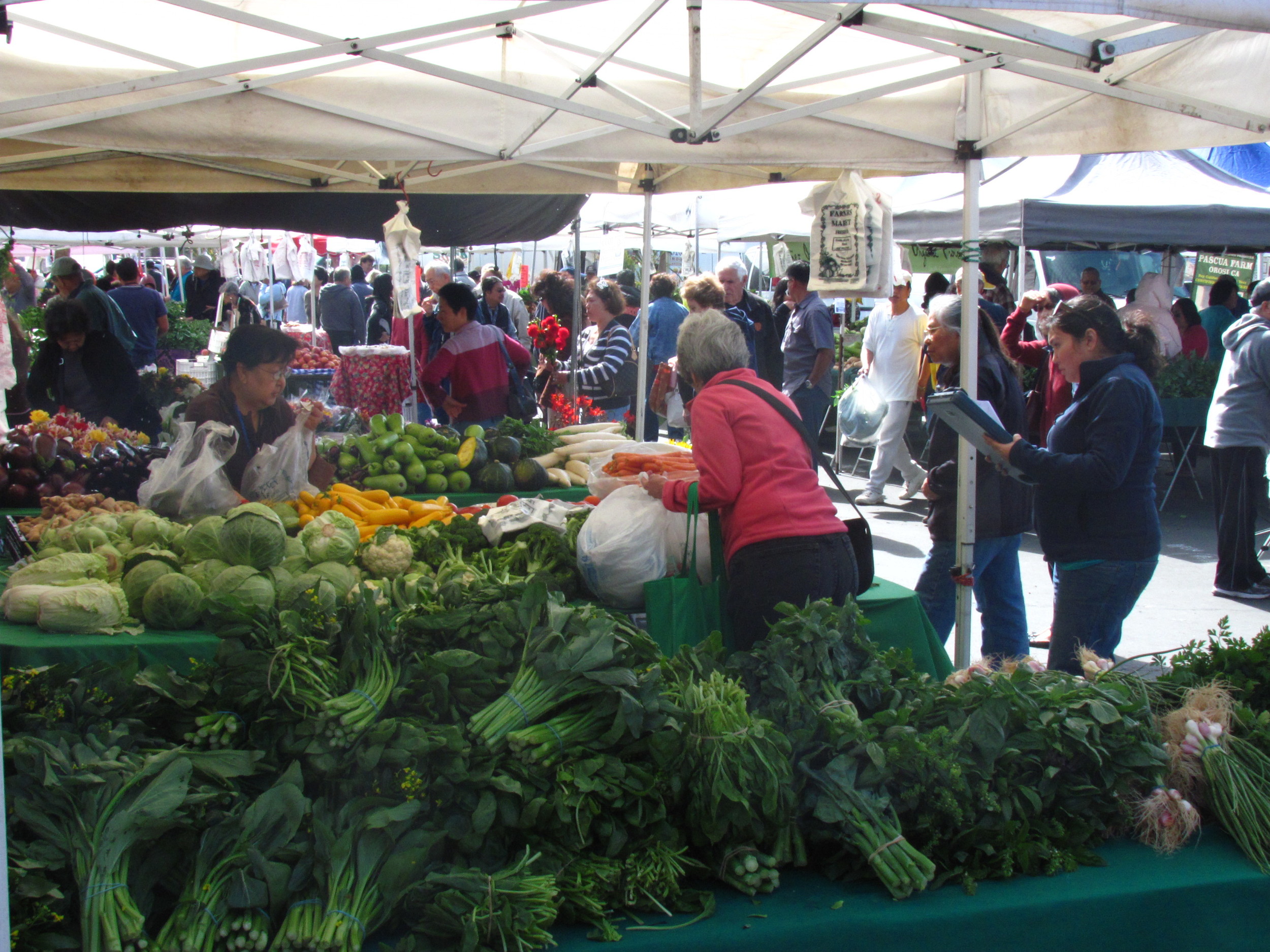 Daly City 20th Anniversary 2011 farmers stall.JPG