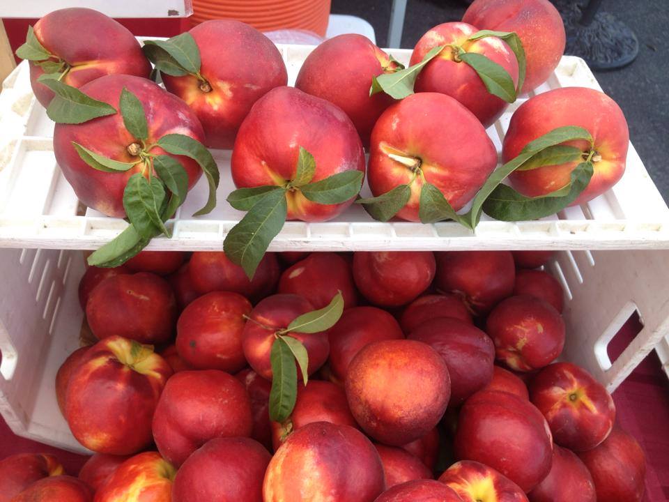 Moraga Farmers' Market Nectarines