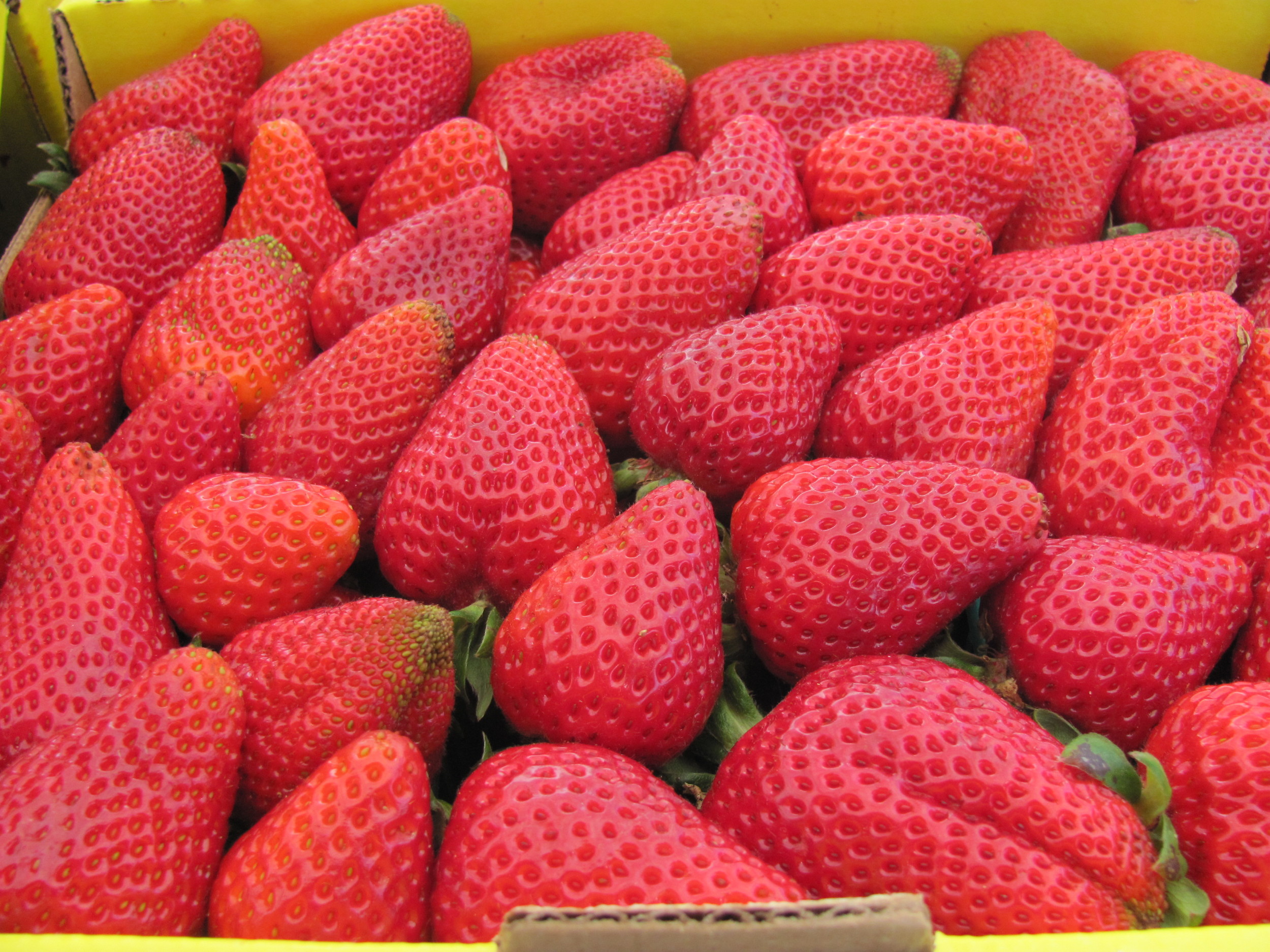 Rossmoor Farmers' Market Strawberries