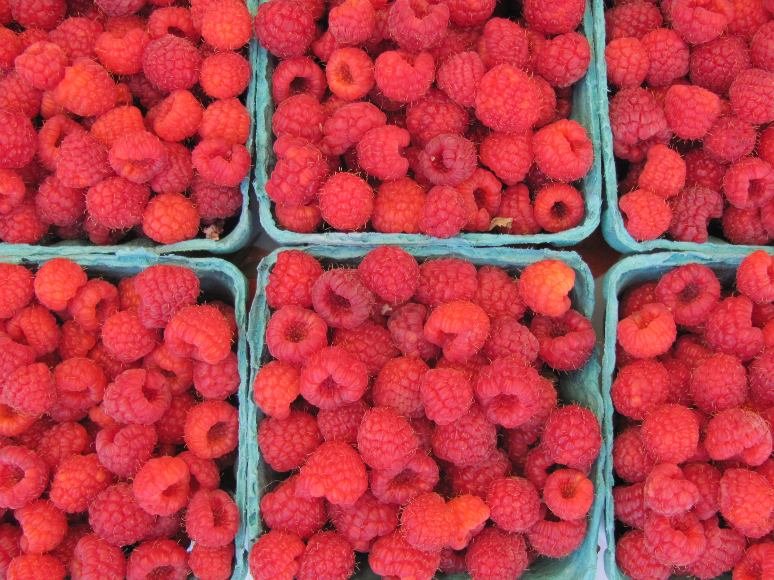 Rossmoor Farmers' Market raspberries