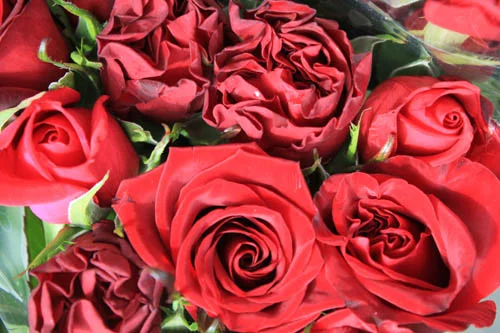 San Leandro Farmers Market At Bayfair Center California Farmers