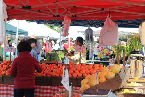 San Leandro Farmers' Market at Bayfair Center farmers