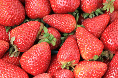 San Leandro Farmers' Market at Bayfair Center strawberries