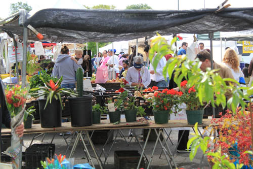 San Leandro Farmers' Market at Bayfair Center