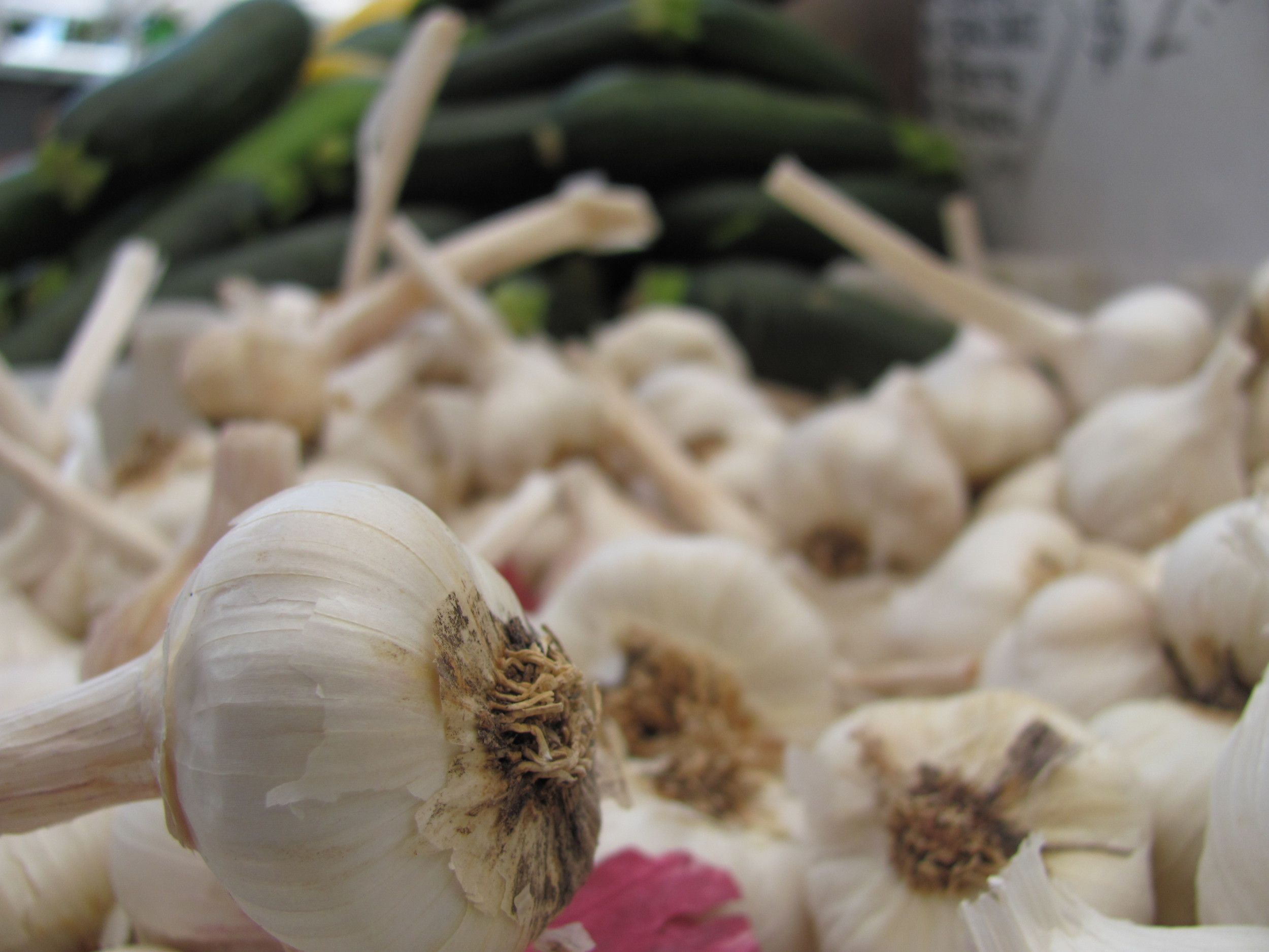 Saratoga Farmers Market Garlic