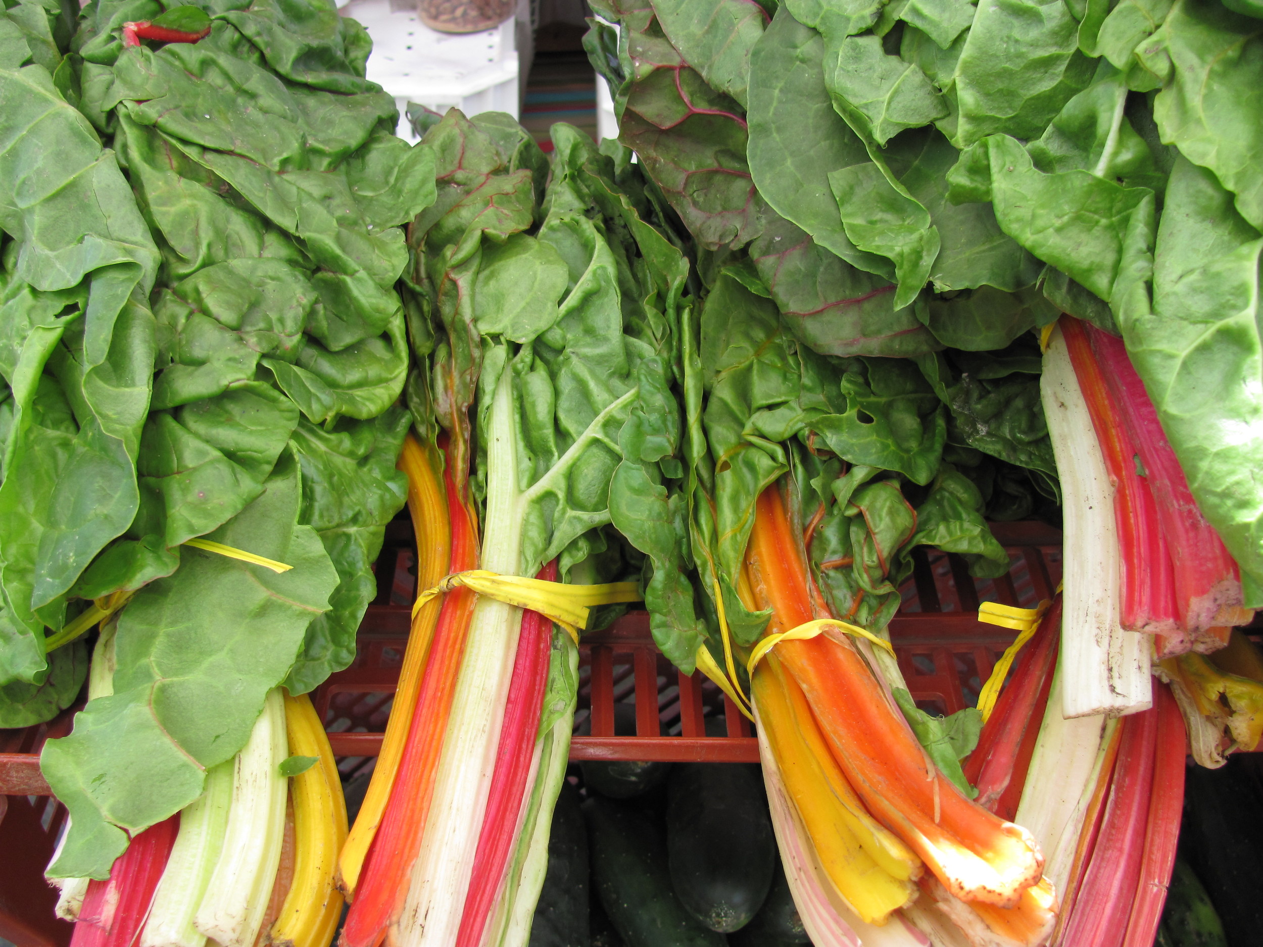 Saratoga Farmers Market  rainbow chard