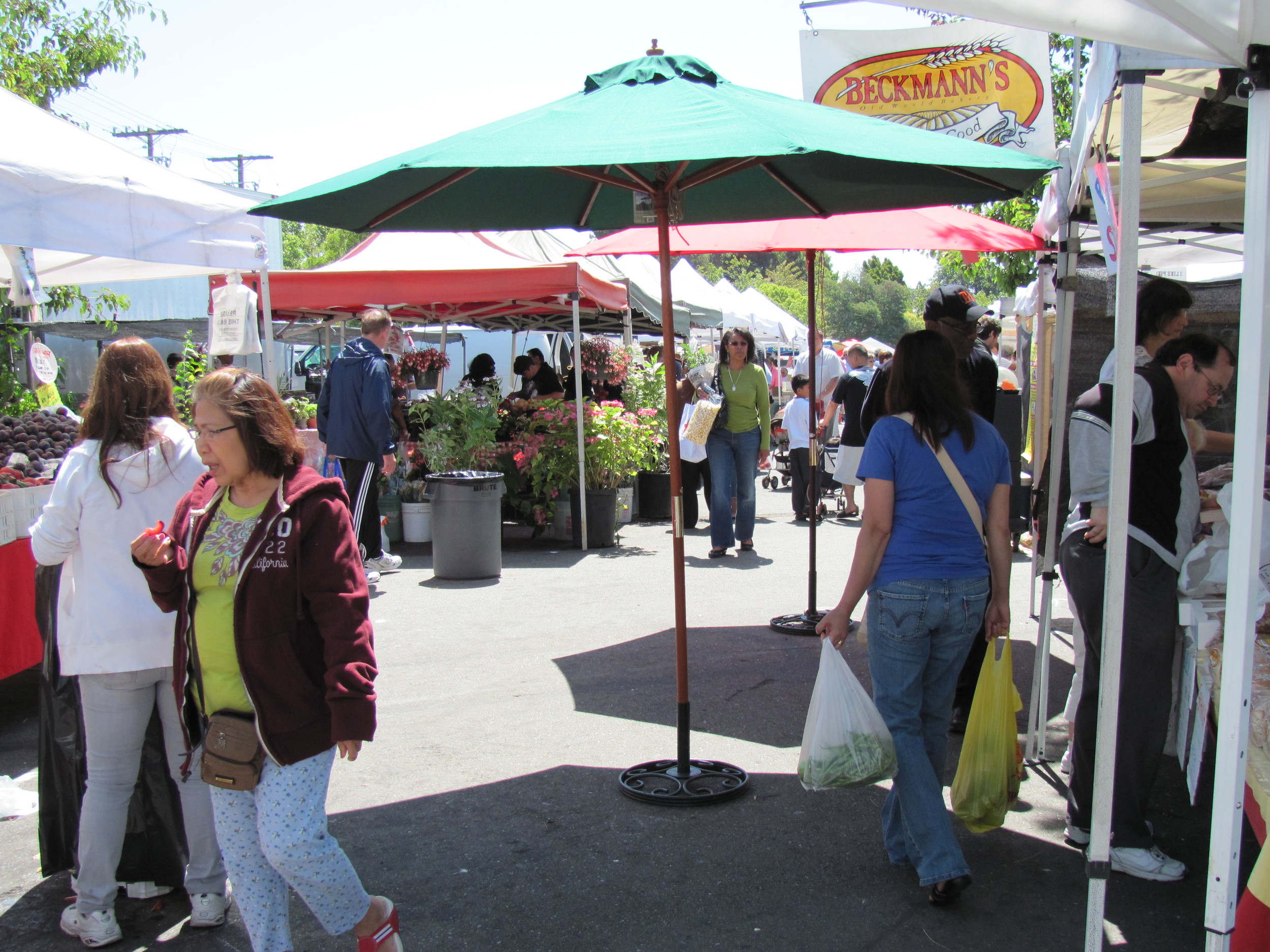 Saratoga Farmers Market 