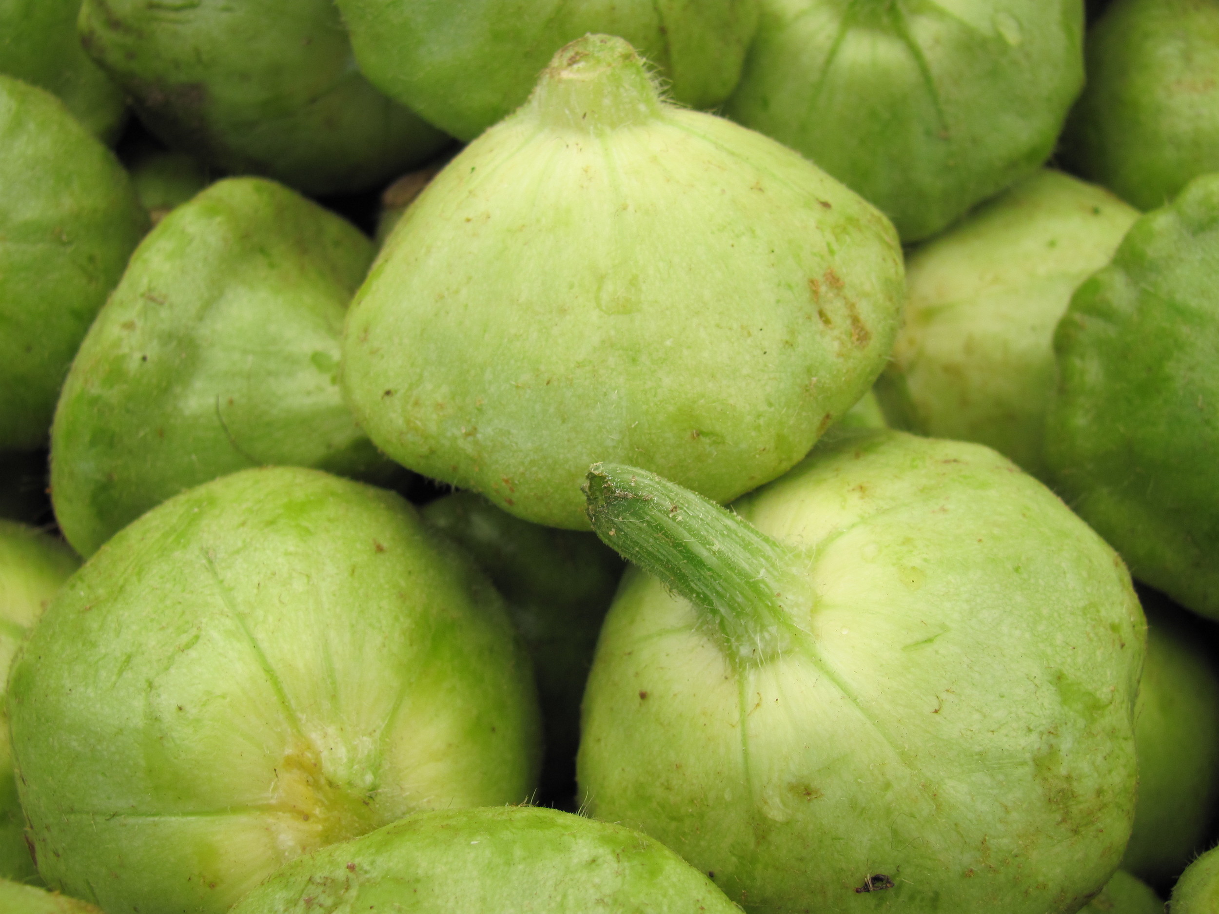 Saratoga Farmers Market summer squash