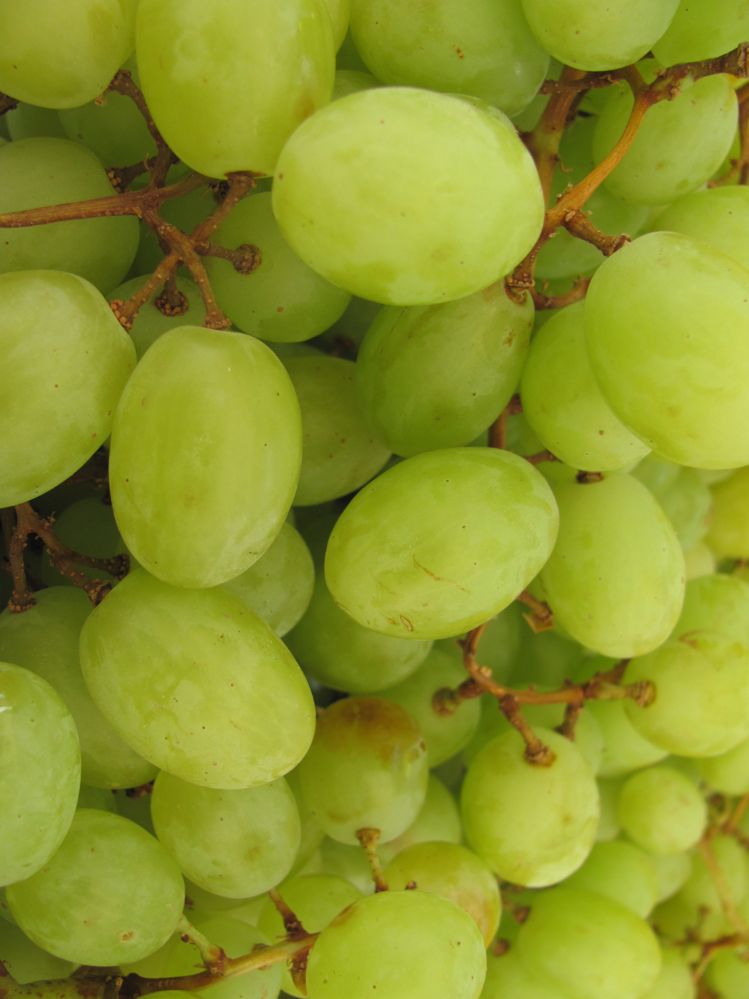Saratoga Farmers Market green grapes
