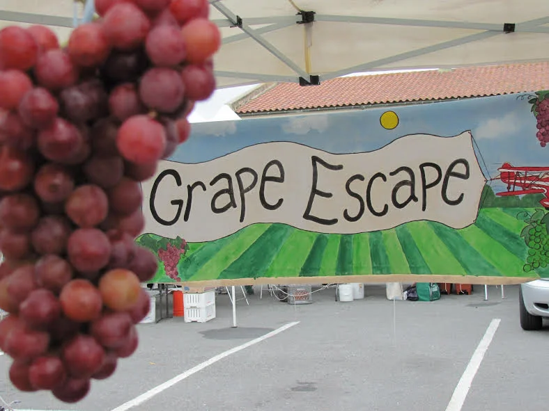 The Grape Escape at Blossom Hill Farmers' Market 