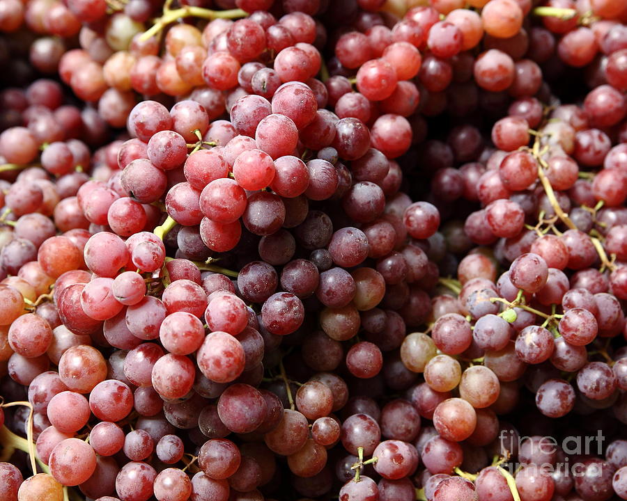 red-grapes--5d17066-wingsdomain-art-and-photography.jpg