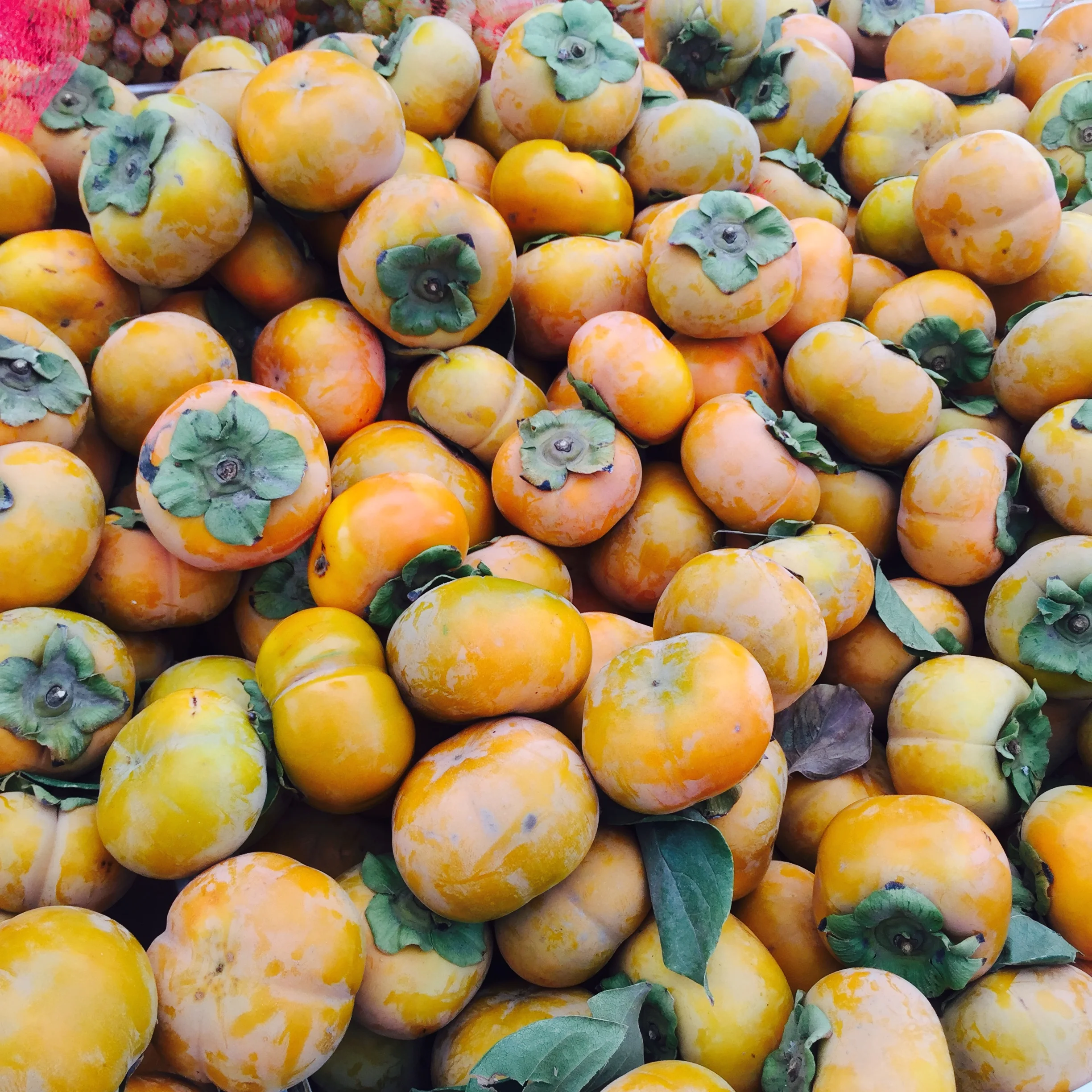 Fall Harvest Fruit Salad 