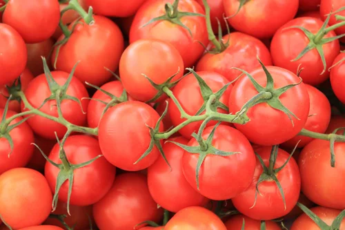 Tomatoes are In Season! 