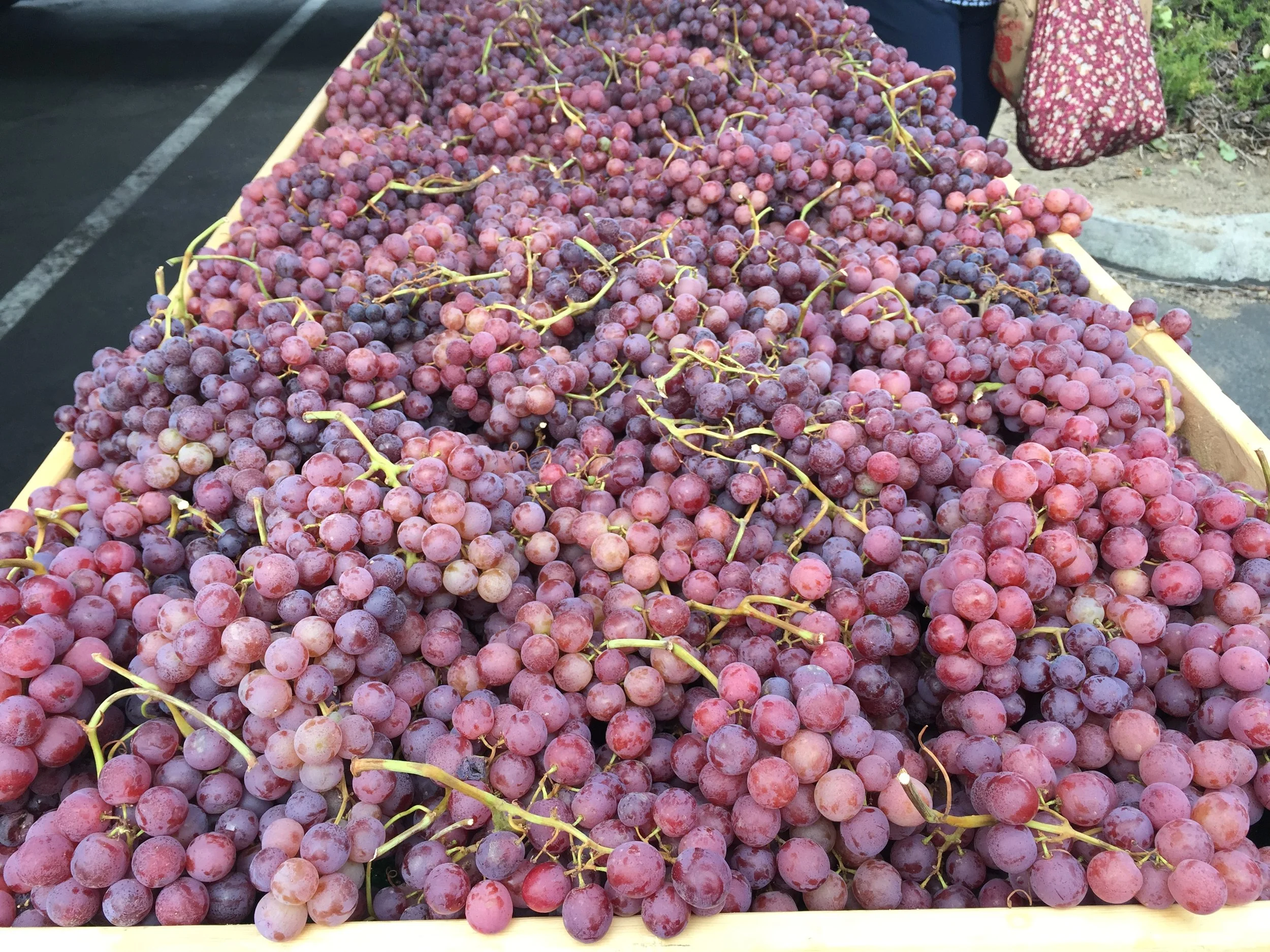 Mountain View Farmers' Market Relocates 10/23