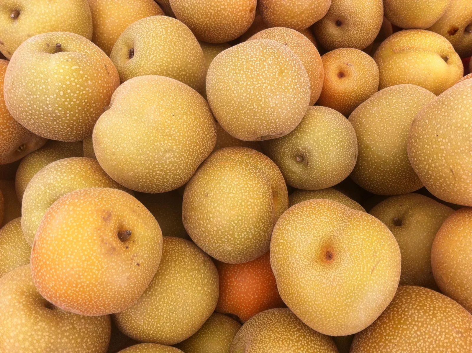 Mountain View Farmers' Market Relocates 11/6