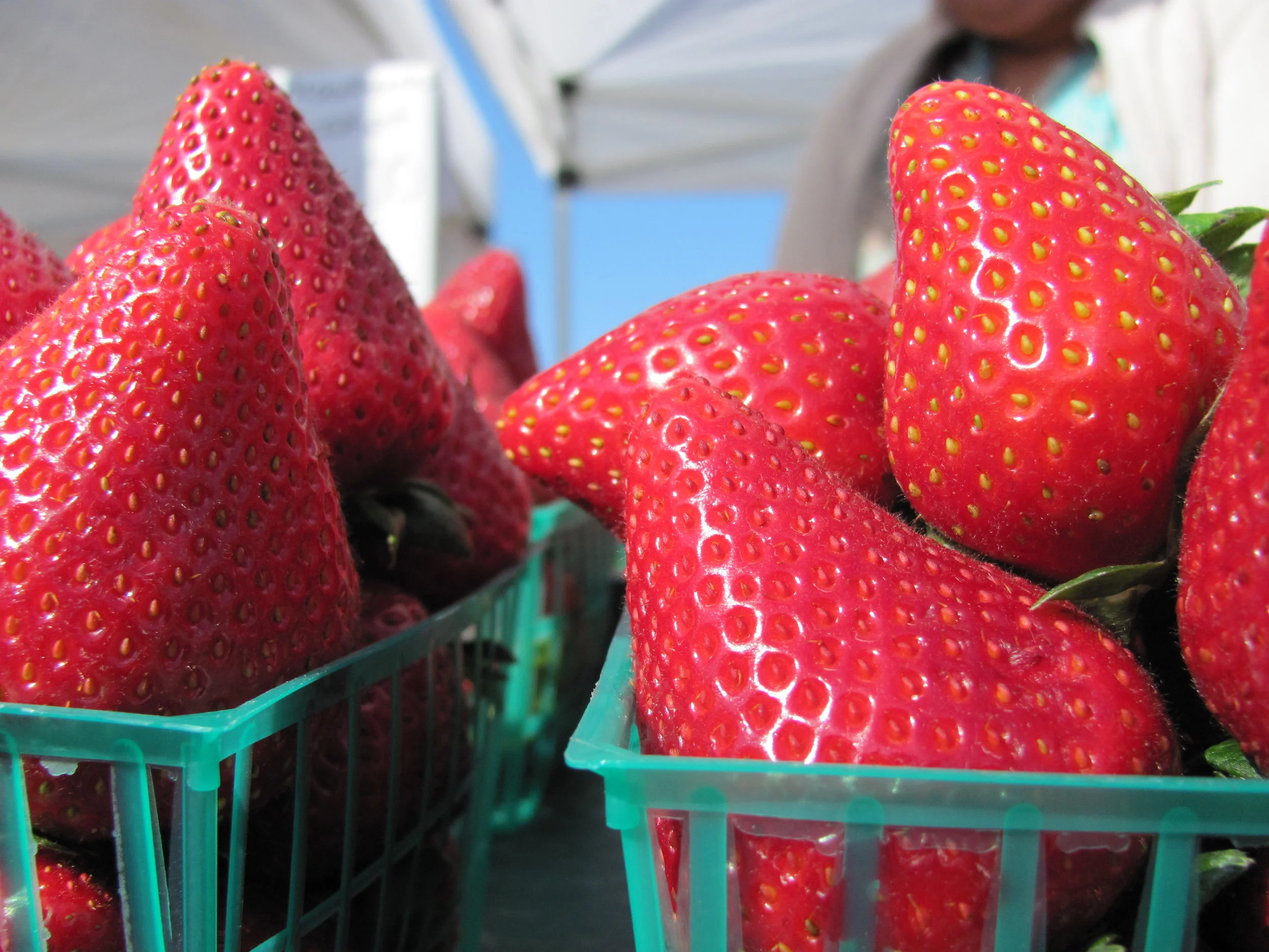 Rossmoor Farmers' Market OPENING DAY