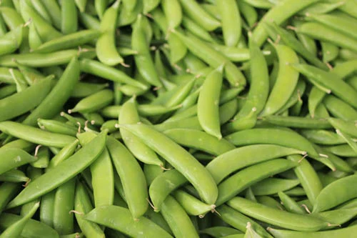 Cooking Demonstration at Moraga Farmers' Market with Chef Laura Stec