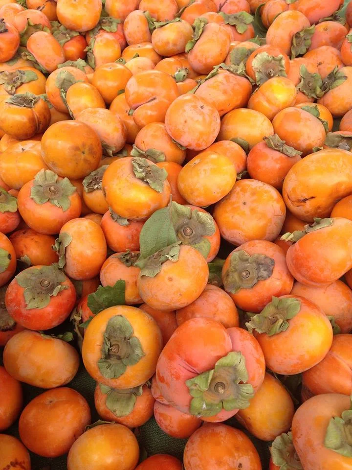 Daly City Farmers' Market: Special Wednesday Market 